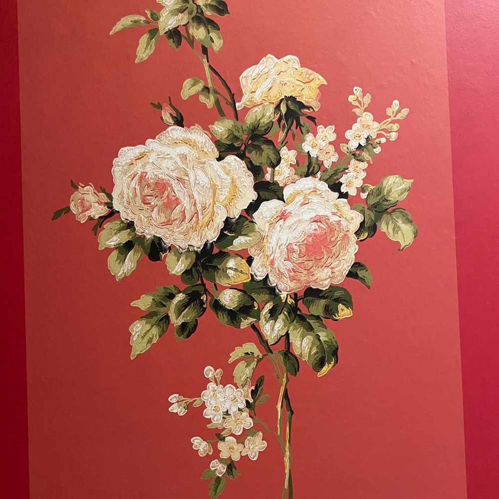 Meet your Posher, Rosa